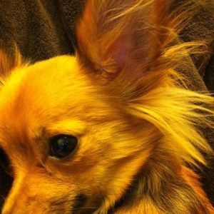 Meet your Posher, Mariana